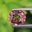 พลอย ทัวร์มารีน (Tourmaline) 1.34 กะรัต (Cts.) อัญมณีมงคลประจําวันเกิด เครื่องประดับพลอย