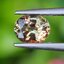 พลอย อเล็กซานไดร์ (Natural Alexandrite Chrysoberyl) เจ้าสามสี 0.41 กะรัต (Cts.) พร้อมใบเซอร์ พลอยแท้ อัญมณีมงคลประจําวันเกิด เครื่องประดับพลอย