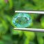 พลอย มรกต Natural Emerald แซมเบีย 1.11 กะรัต (Cts.) พลอยแท้ อัญมณีมงคลประจําวันเกิด เครื่องประดับพลอย