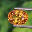 พลอย บุษราคัม yellow sapphire 2.66 กะรัต (Cts.) พลอยแท้ อัญมณีมงคลประจําวันเกิด เครื่องประดับพลอย