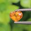 พลอย บุษราคัม yellow sapphire 0.80 กะรัต (Cts.) พลอยแท้ อัญมณีมงคลประจําวันเกิด เครื่องประดับพลอย