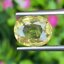 พลอย บุษราคัม yellow sapphire 4.62 กะรัต (Cts.) ดิบ (Unheated) พร้อมใบเซอร์ พลอยแท้ อัญมณีมงคลประจําวันเกิด เครื่องประดับพลอย