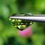 พลอย กรีน ทัวร์มารีน (Green Tourmaline) 2.68 กะรัต (Cts.) อัญมณีมงคลประจําวันเกิด เครื่องประดับพลอย