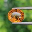 พลอย บุษราคัม yellow sapphire 4.51 กะรัต (Cts.) พลอยแท้ อัญมณีมงคลประจําวันเกิด เครื่องประดับพลอย