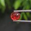 พลอย ทับทิม ซองเจีย Songea Ruby Sapphire 1.13 กะรัต (Cts.) พร้อมใบเซอร์ พลอยแท้ อัญมณีมงคลประจําวันเกิด เครื่องประดับพลอย
