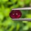 พลอย ทับทิม สยาม Siam Ruby sapphire 1.03 กะรัต (Cts.) *สีพิเศษ แดงสด Vivid Red พร้อมใบเซอร์ พลอยแท้ อัญมณีมงคลประจําวันเกิด เครื่องประดับพลอย