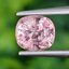 พลอย สปิเนล (Spinel) 1.59 กะรัต (Cts.) ดิบ (Unheated) พลอยแท้ อัญมณีมงคลประจําวันเกิด เครื่องประดับพลอย