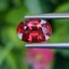 พลอย ทับทิม ซองเจีย Songea Ruby Sapphire 1.05 กะรัต (Cts.) พลอยแท้ อัญมณีมงคลประจําวันเกิด เครื่องประดับพลอย