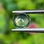 พลอย เขียวส่อง Green Sapphire 1.07 กะรัต (Cts.) ดิบ Unheated พลอยแท้ อัญมณีมงคลประจําวันเกิด เครื่องประดับพลอย
