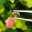 พลอย อเล็กซานไดร์ (Natural Alexandrite Chrysoberyl) เจ้าสามสี 0.46 กะรัต (Cts.) พร้อมใบเซอร์ พลอยแท้ อัญมณีมงคลประจําวันเกิด เครื่องประดับพลอย