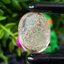 โป่งข่าม ควอตซ์ Rutilated Quartz 78.96 กะรัต พลอยแท้ อัญมณีมงคลประจําวันเกิด เครื่องประดับพลอย