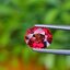 พลอย ทับทิม ซองเจีย Songea Ruby Sapphire 2.09 กะรัต (Cts.) พร้อมใบเซอร์ พลอยแท้ อัญมณีมงคลประจําวันเกิด เครื่องประดับพลอย
