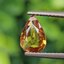พลอย บุษราคัม yellow sapphire 1.12 กะรัต (Cts.) พลอยแท้ อัญมณีมงคลประจําวันเกิด เครื่องประดับพลอย