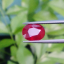 พลอย ทับทิม Ruby sapphire 3.49 กะรัต (Cts.) VS พลอยแท้ อัญมณีมงคลประจําวันเกิด เครื่องประดับพลอย