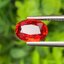 พลอย ทับทิม ซองเจีย Ruby Sapphire 2.66 กะรัต (Cts) พลอยแท้ อัญมณีมงคลประจําวันเกิด เครื่องประดับพลอย