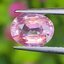 พลอย พัดพารัดชา Padparadscha Sapphire 1.14 กะรัต (Cts.) พร้อมใบเซอร์ พลอยแท้ อัญมณีมงคลประจําวันเกิด เครื่องประดับพลอย