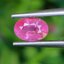 พลอย ชมพู พิ้ง แซฟไฟร์ Pink Sapphire 1.02 กะรัต (Cts.) พลอยแท้ อัญมณีมงคลประจําวันเกิด เครื่องประดับพลอย
