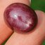 พลอย ทับทิม สตาร์ แซฟไฟร์ Ruby Star Sapphire 15.30 กะรัต (Cts.) ดิบ Unheated พร้อมใบเซอร์ พลอยแท้ อัญมณีมงคลประจําวันเกิด เครื่องประดับพลอย