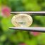 พลอย บุษราคัม yellow sapphire 1.54 กะรัต (Cts.) พลอยแท้ อัญมณีมงคลประจําวันเกิด เครื่องประดับพลอย