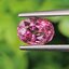 พลอย ทัวร์มารีน (Tourmaline) 1.63 กะรัต (Cts.) อัญมณีมงคลประจําวันเกิด เครื่องประดับพลอย