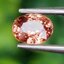 พลอย ซองเจีย ส้มอมชมพู (Pinkish Orange Sapphire) 1.10 กะรัต (Cts.) พลอยแท้ อัญมณีมงคลประจําวันเกิด เครื่องประดับพลอย