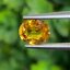 พลอย บุษราคัม Yellow Sapphire 1.44 กะรัต (Cts.) พลอยแท้ อัญมณีมงคลประจําวันเกิด เครื่องประดับพลอย