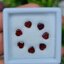 พลอย โกเมน Garnet 7 เม็ด (pcs.) 3.54 กะรัต (Cts.) พลอยแท้ อัญมณีมงคลประจําวันเกิด เครื่องประดับพลอย