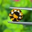 พลอย ดีแมนทรอยด์ การ์เน็ต Demantoid Garnet 1.39 Cts. ดิบ Unheated พร้อมใบเซอร์ พลอยแท้ อัญมณีมงคลประจําวันเกิด เครื่องประดับพลอย