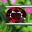 พลอย โกเมน Pyrope - Almandite Garnet 5.65 กะรัต (Cts.) พลอยแท้ อัญมณีมงคลประจําวันเกิด เครื่องประดับพลอย