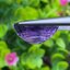 พลอย อเมทิส Amethyst 12.55 กะรัต (Cts.)