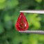 พลอย ทับทิม ซองเจีย Songea Ruby Sapphire 1.21 กะรัต (Cts.) พลอยแท้ อัญมณีมงคลประจําวันเกิด เครื่องประดับพลอย