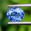 พลอย ไพลิน blue sapphire 0.87 กะรัต (Cts.) พลอยแท้ อัญมณีมงคลประจําวันเกิด เครื่องประดับพลอย