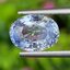พลอย ไพลิน blue sapphire 2.75 กะรัต (Cts.) พลอยแท้ อัญมณีมงคลประจําวันเกิด เครื่องประดับพลอย