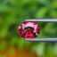 พลอย ทับทิม ซองเจีย Songea Ruby Sapphire 2.09 กะรัต (Cts.) พร้อมใบเซอร์ พลอยแท้ อัญมณีมงคลประจําวันเกิด เครื่องประดับพลอย