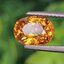 พลอย บุษราคัม yellow sapphire 2.66 กะรัต (Cts.) พลอยแท้ อัญมณีมงคลประจําวันเกิด เครื่องประดับพลอย