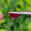 พลอย ทับทิม พม่า (Burmese Ruby Sapphire) 1.40 กะรัต พลอยแท้ อัญมณีมงคลประจําวันเกิด เครื่องประดับพลอย