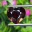 พลอย โกเมน Pyrope - Almandite Garnet 7.17 กะรัต (Cts.) พลอยแท้ อัญมณีมงคลประจําวันเกิด เครื่องประดับพลอย