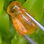 อำพัน แกะสลัก พญาตัวต่อ Wasp Natural Amber พลอยแท้ อัญมณีมงคลประจําวันเกิด เครื่องประดับพลอย