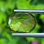พลอย เพอริดอต Peridot 4.76 กะรัต (Cts.) พลอยแท้ อัญมณีมงคลประจําวันเกิด เครื่องประดับพลอย