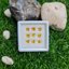 พลอย บุษราคัม yellow sapphire 3.48 กะรัต (Cts.) 9 เม็ด (Pcs.) พลอยแท้ อัญมณีมงคลประจําวันเกิด เครื่องประดับพลอย