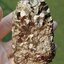 ก้อนผลึก ไพไรท์ Raw Rough Pyrite 456 กรัม (Grams) พลอยแท้ อัญมณีมงคลประจําวันเกิด เครื่องประดับพลอย