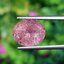 พลอย สตอเบอรี่ ควอตซ์ Strawberry Quartz 3.60 กะรัต (Cts.) พลอยแท้ อัญมณีมงคลประจําวันเกิด เครื่องประดับพลอย