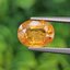 พลอย บุษราคัม yellow sapphire 4.20 กะรัต (Cts.) พลอยแท้ อัญมณีมงคลประจําวันเกิด เครื่องประดับพลอย
