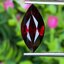 พลอย โกเมน Pyrope - Almandite Garnet 5.50 กะรัต (Cts.) พลอยแท้ อัญมณีมงคลประจําวันเกิด เครื่องประดับพลอย