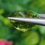 พลอย กรีน ทัวร์มารีน (Green Tourmaline) 6.80 กะรัต (Cts.) อัญมณีมงคลประจําวันเกิด เครื่องประดับพลอย