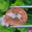 พลอย สตอเบอรี่ ควอตซ์ Strawberry Quartz 13.33 กะรัต (Cts.) พลอยแท้ อัญมณีมงคลประจําวันเกิด เครื่องประดับพลอย