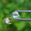 พลอย อเล็กซานไดร์ (Natural Alexandrite Chrysoberyl) 0.26 กะรัต (Cts.) ดิบ (Unheated) พร้อมใบเซอร์ พลอยแท้ อัญมณีมงคลประจําวันเกิด เครื่องประดับพลอย
