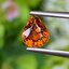 พลอย เพทาย (Zircon) 1.24 กะรัต (Cts.) พลอยแท้ อัญมณีมงคลประจําวันเกิด เครื่องประดับพลอย