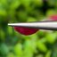 พลอย ทับทิม พม่า (Burmese Ruby Sapphire) 1.55 กะรัต พลอยแท้ อัญมณีมงคลประจําวันเกิด เครื่องประดับพลอย
