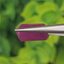 พลอย ทับทิม Ruby sapphire 6.59 กะรัต (Cts) ดิบ (Unheated) พลอยแท้ อัญมณีมงคลประจําวันเกิด เครื่องประดับพลอย